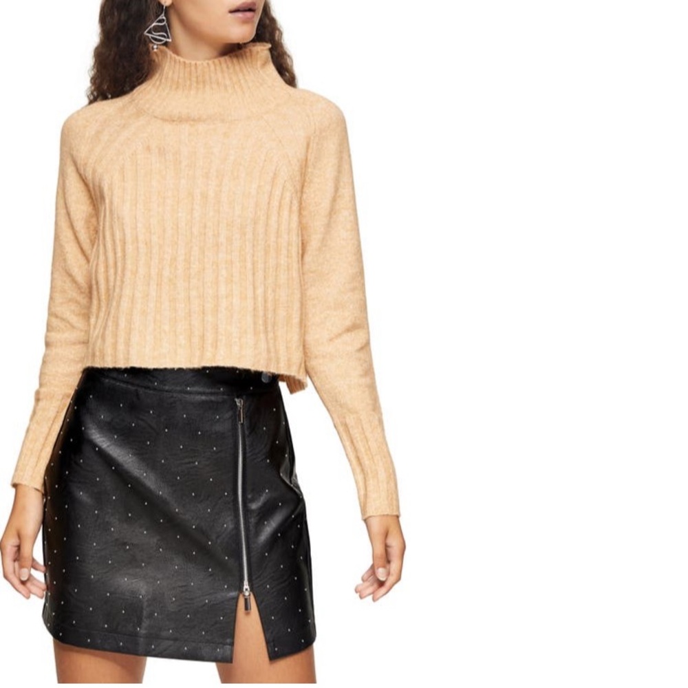 Topshop Rib Crop Turtleneck Sweater